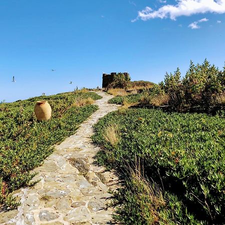Isla Privada En Cadaques De Ensueno Con 11 Habitaciones Dobles Con Bano Privado Y Piscina 外观 照片