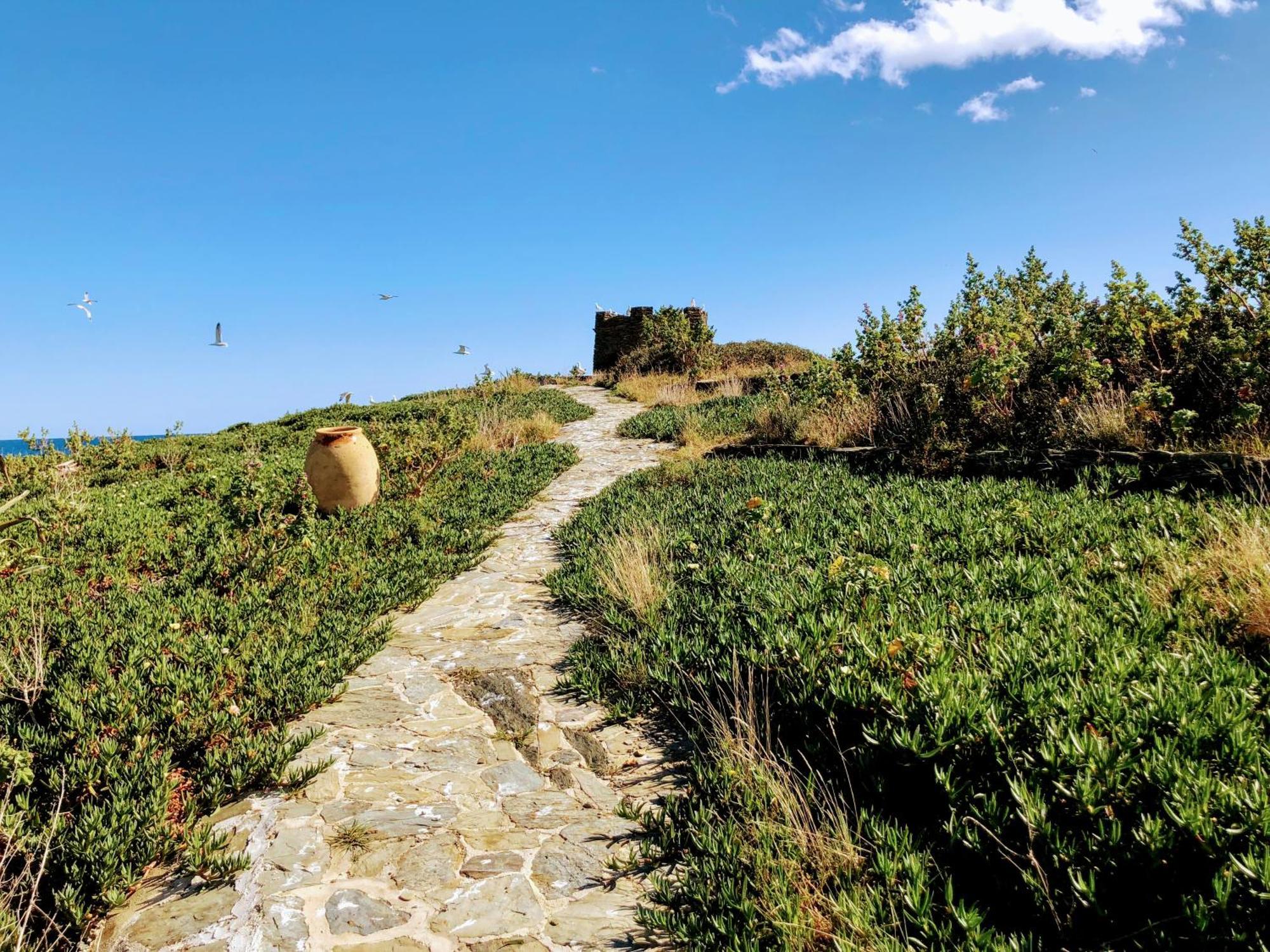 Isla Privada En Cadaques De Ensueno Con 11 Habitaciones Dobles Con Bano Privado Y Piscina 外观 照片